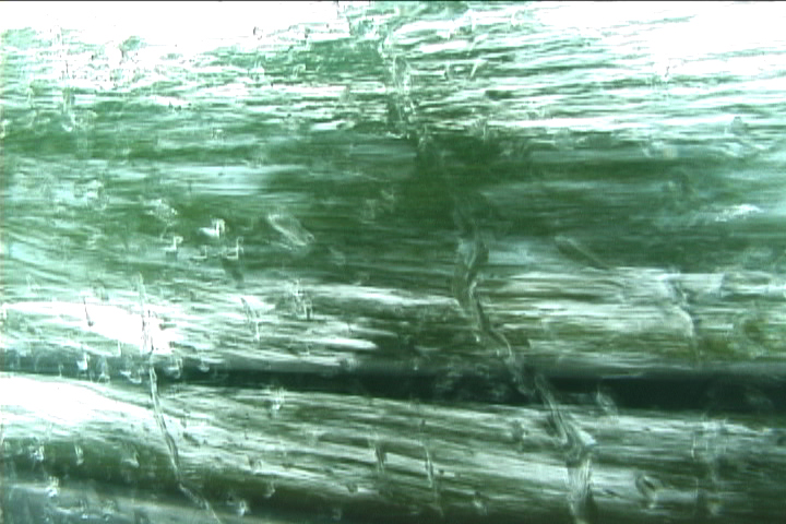 verde1