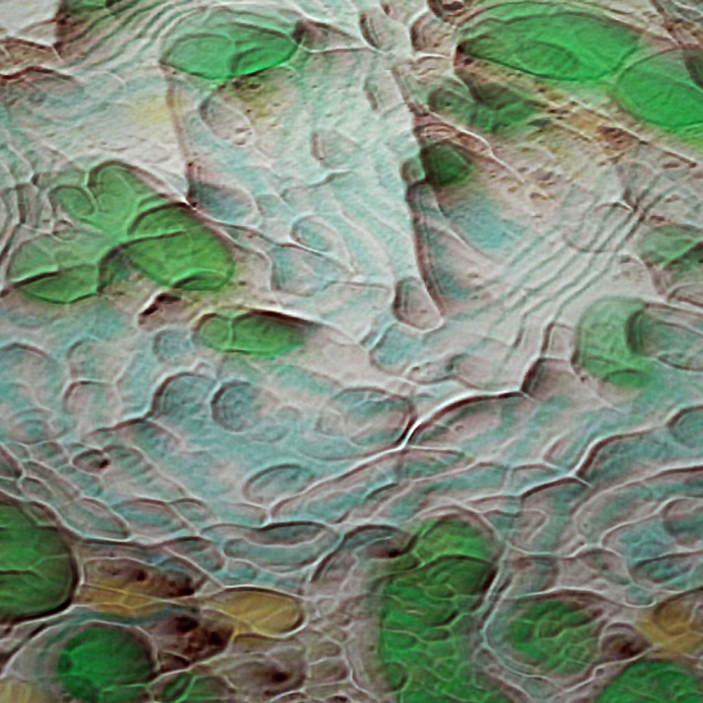 Cells